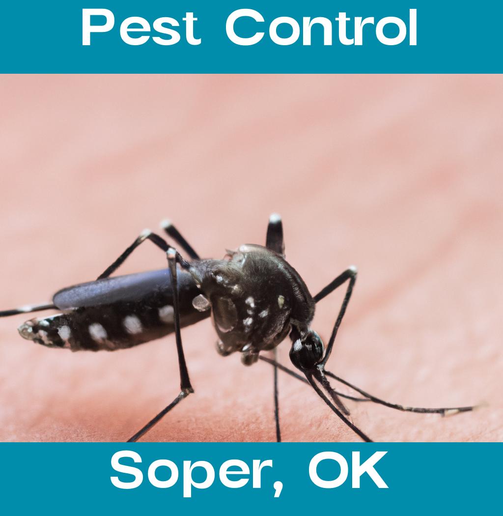 pest control in Soper Oklahoma