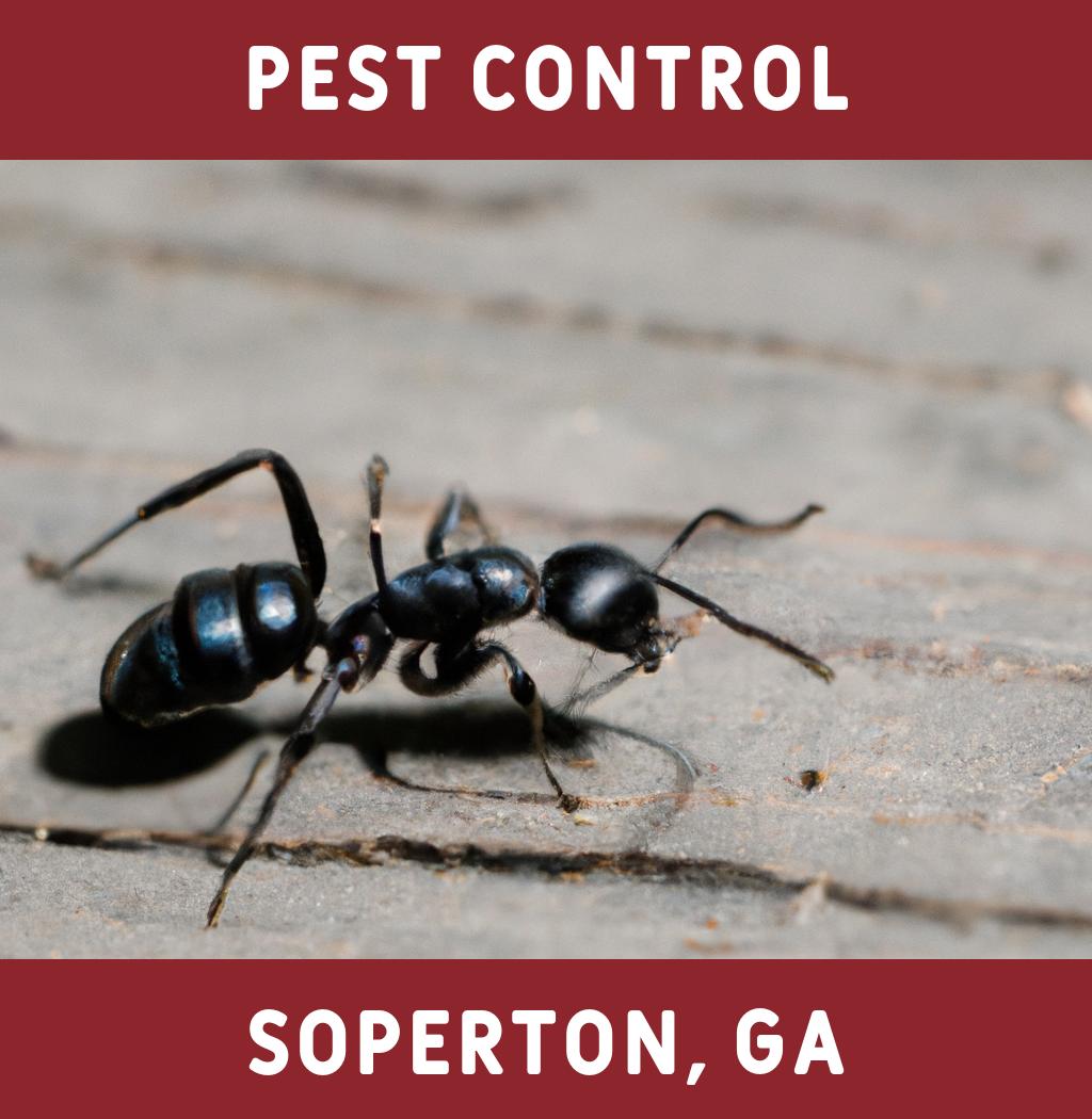 pest control in Soperton Georgia