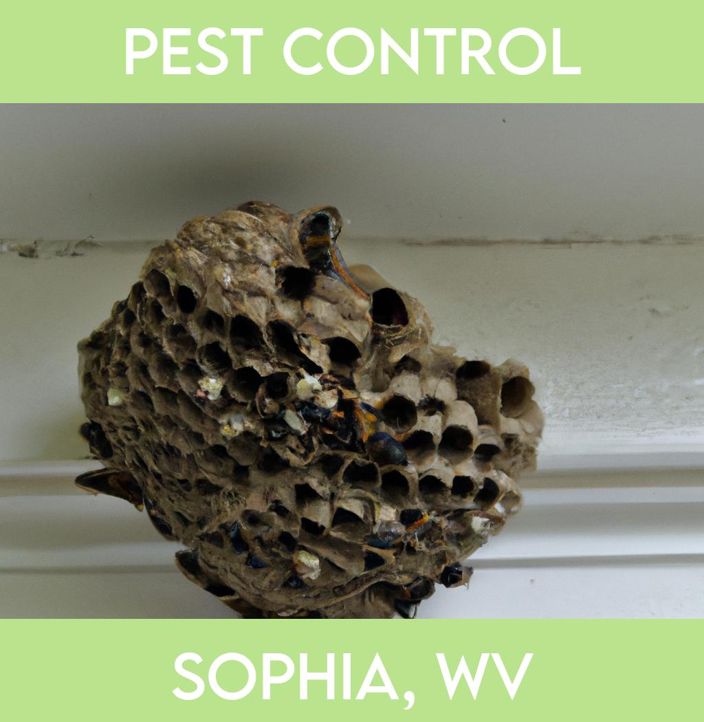 pest control in Sophia West Virginia