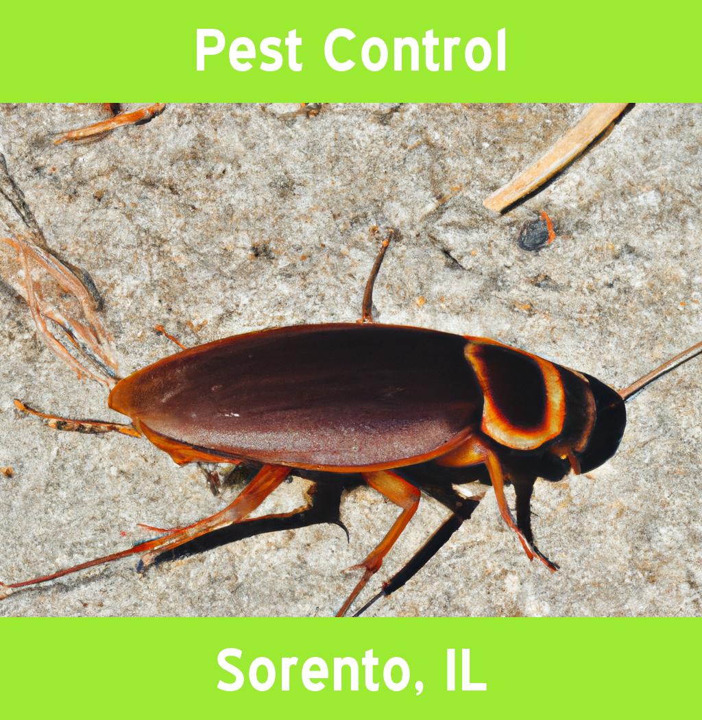 pest control in Sorento Illinois