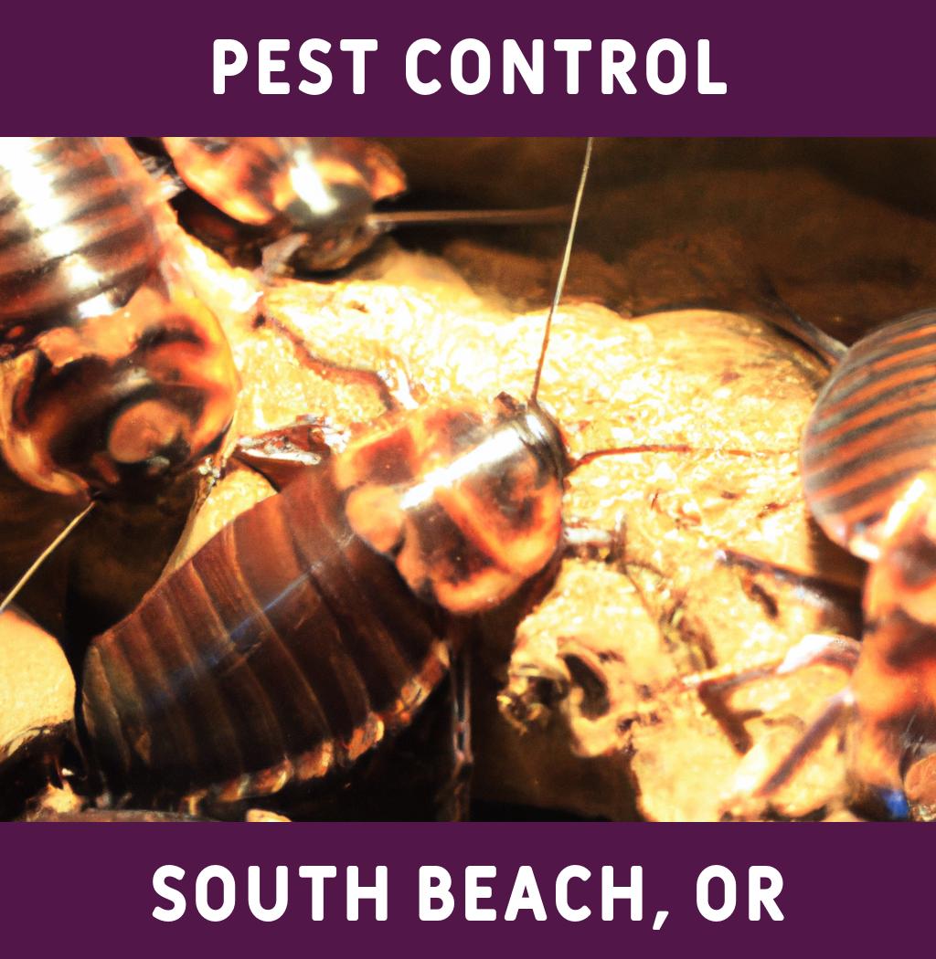 pest control in South Beach Oregon