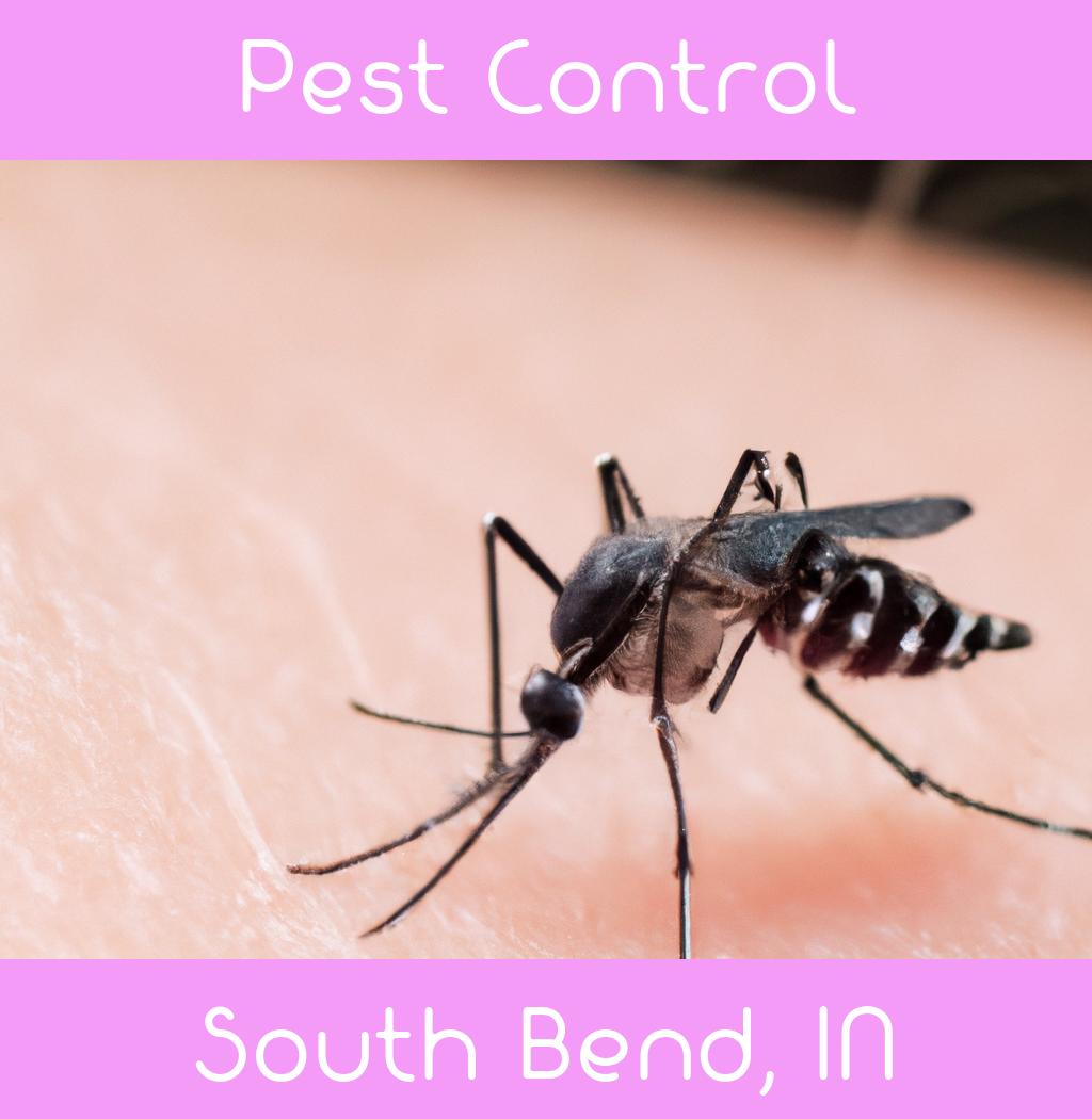 pest control in South Bend Indiana