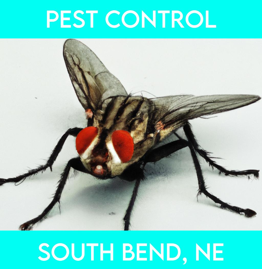 pest control in South Bend Nebraska