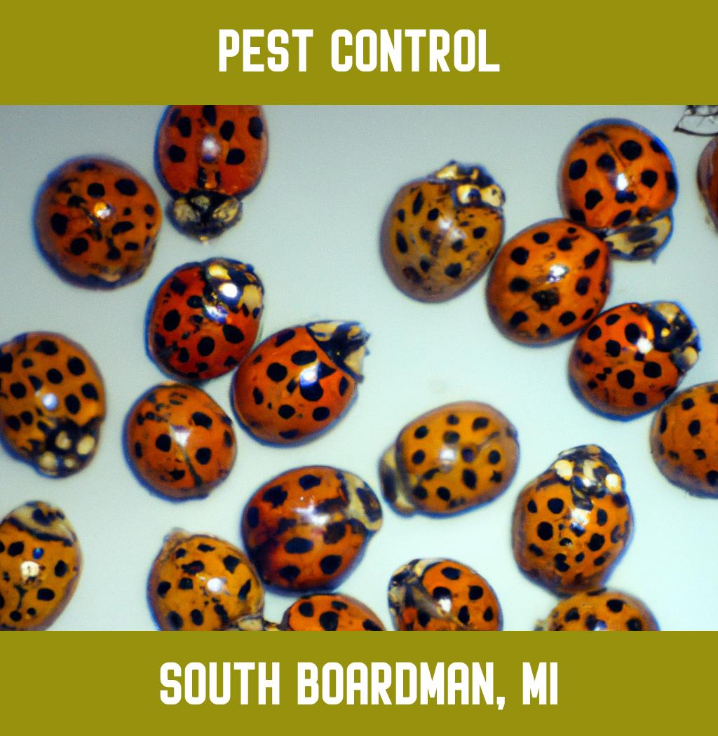 pest control in South Boardman Michigan