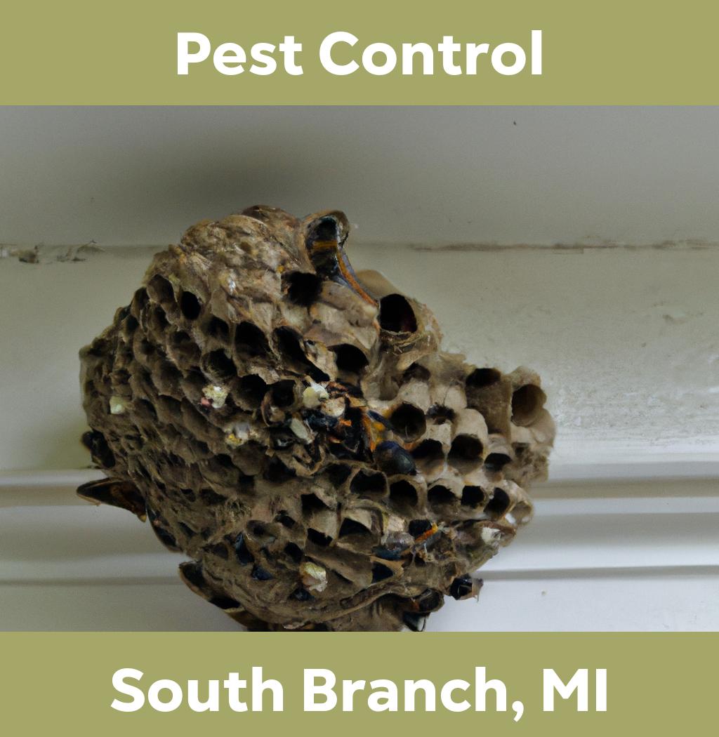 pest control in South Branch Michigan