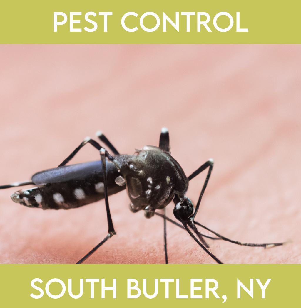 pest control in South Butler New York