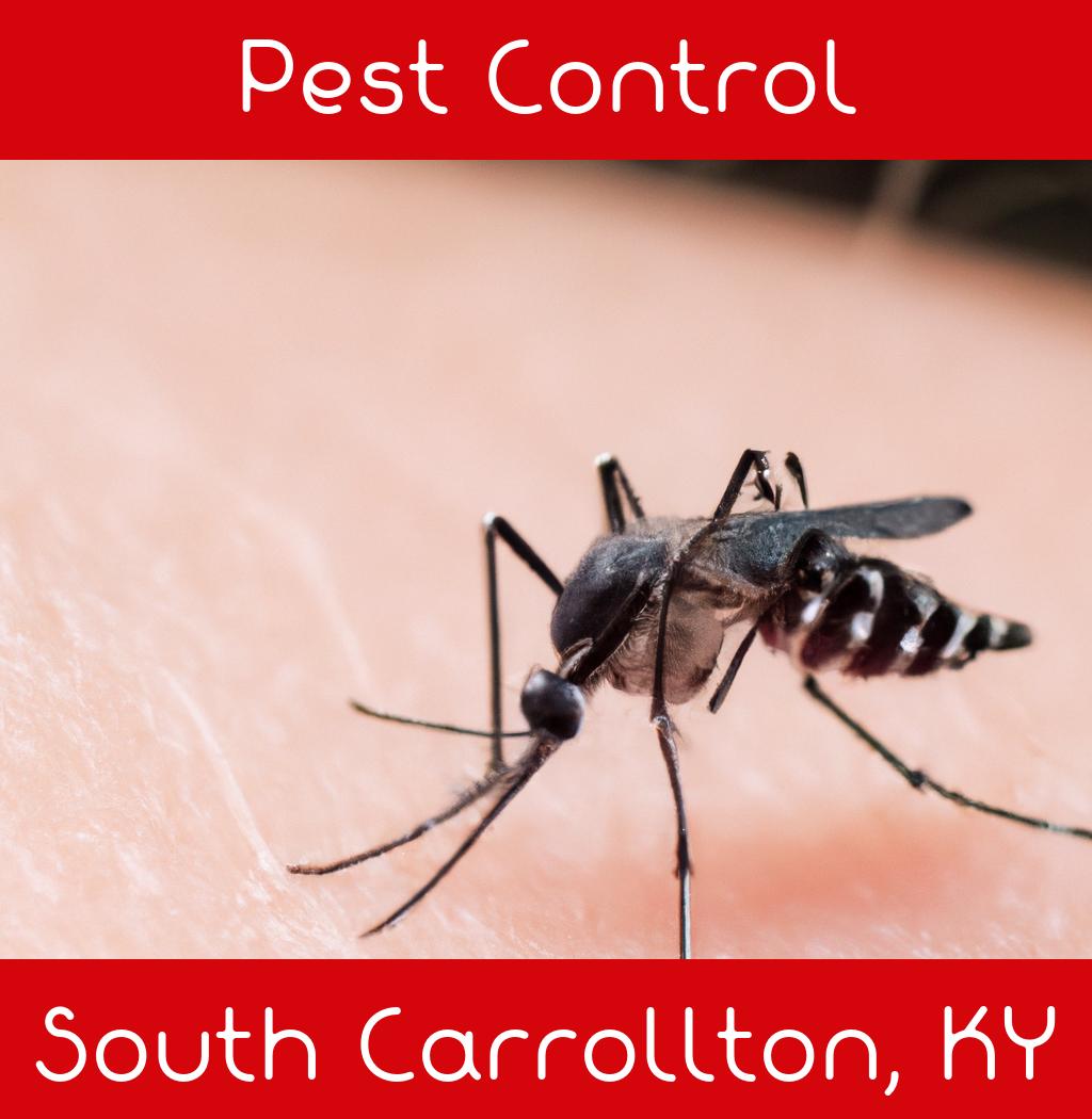 pest control in South Carrollton Kentucky