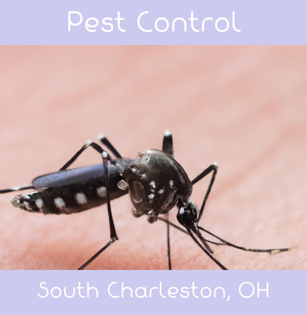 pest control in South Charleston Ohio