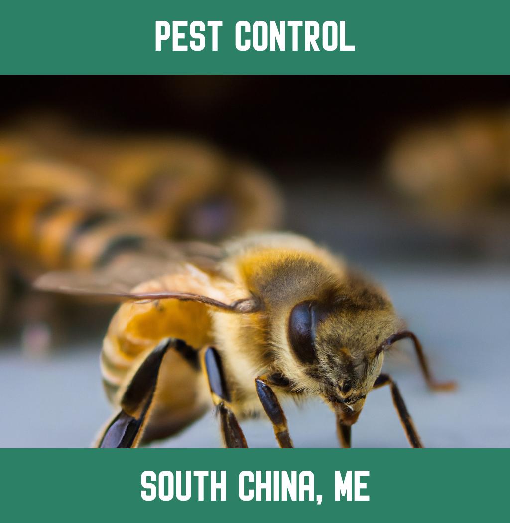 pest control in South China Maine