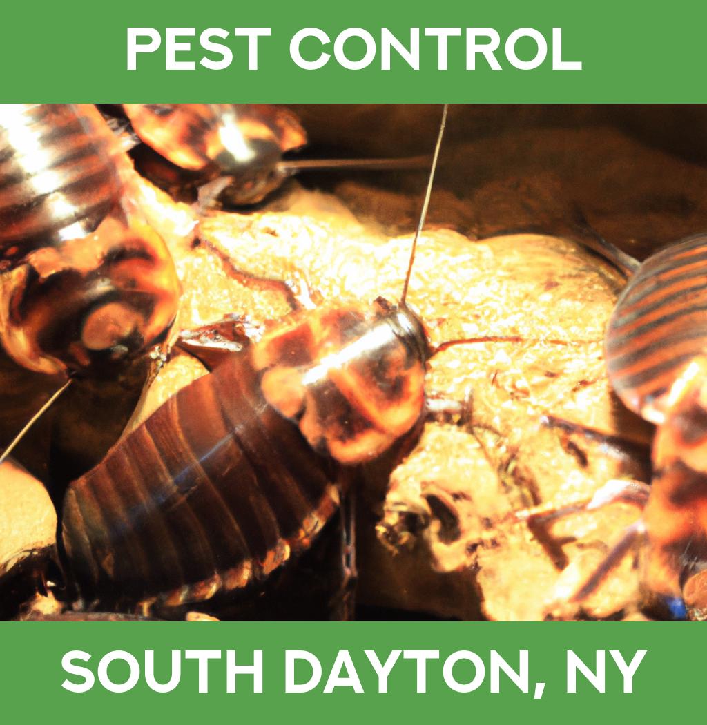 pest control in South Dayton New York