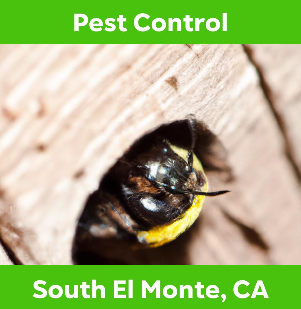 pest control in South El Monte California