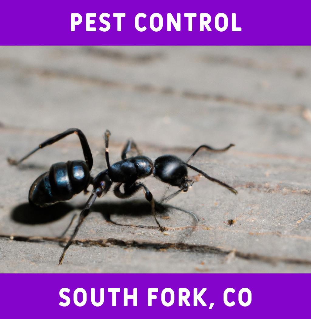 pest control in South Fork Colorado