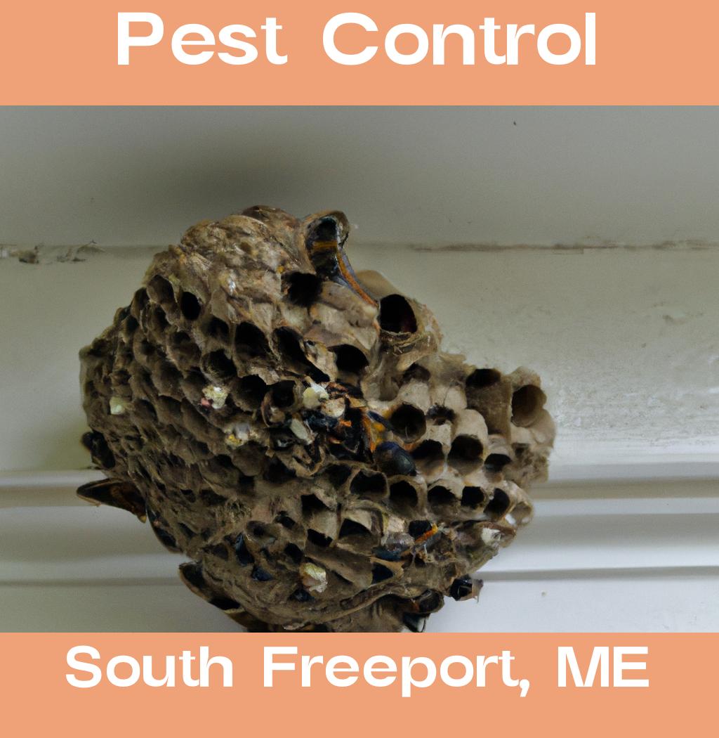 pest control in South Freeport Maine