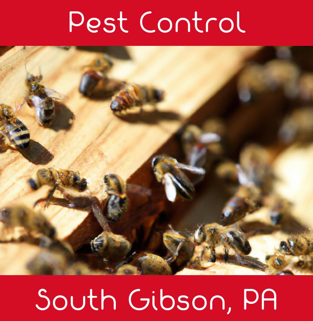 pest control in South Gibson Pennsylvania