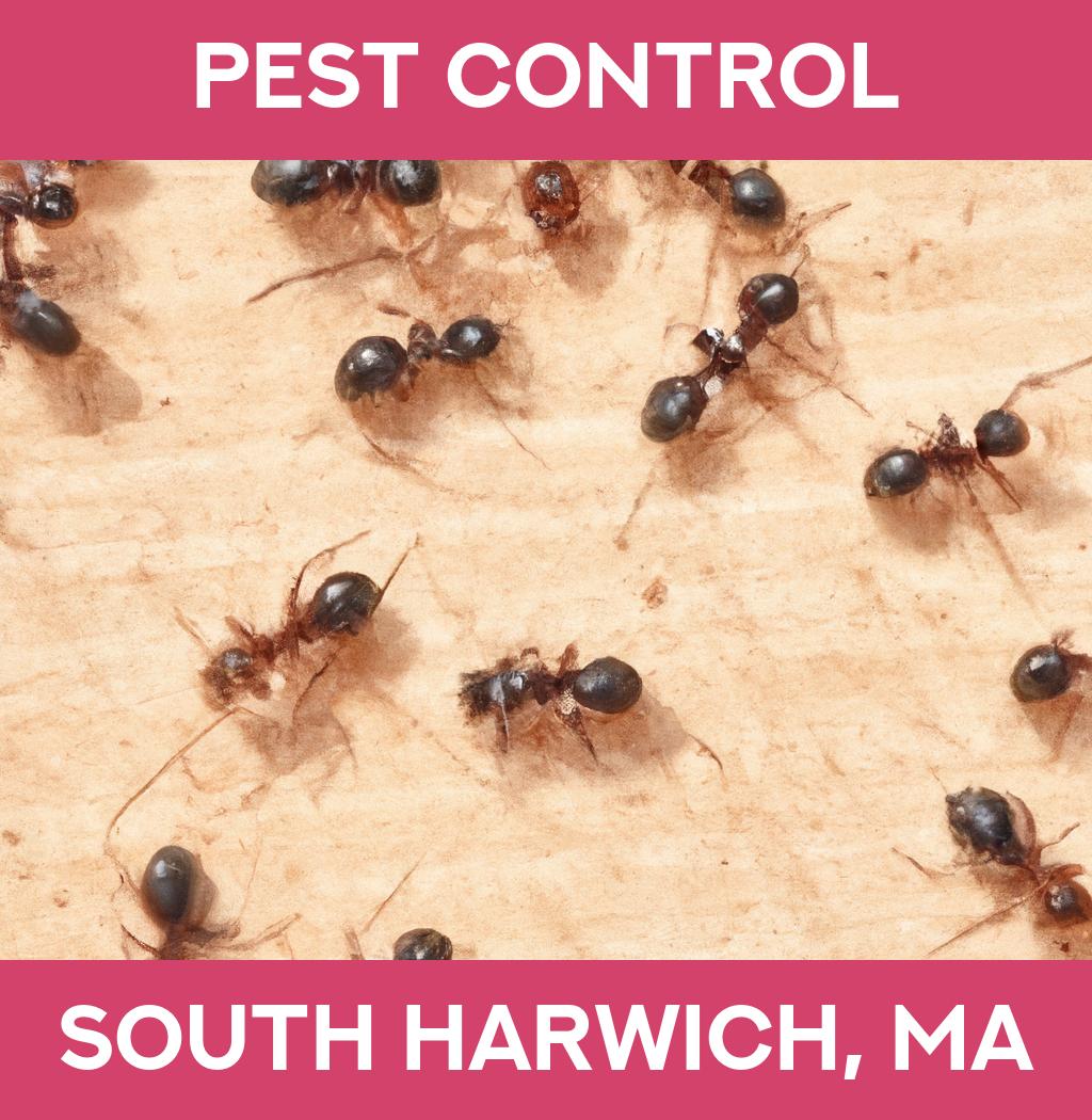 pest control in South Harwich Massachusetts