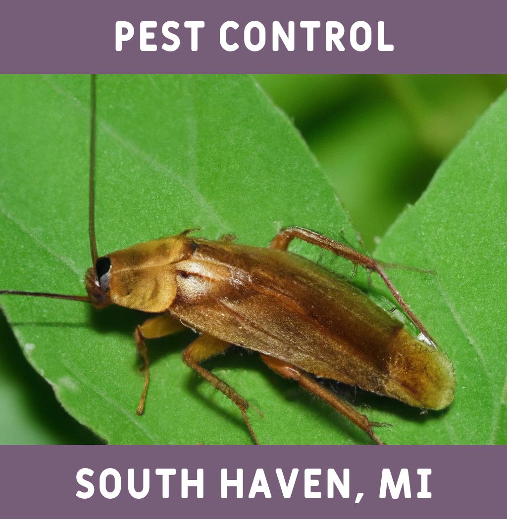 pest control in South Haven Michigan