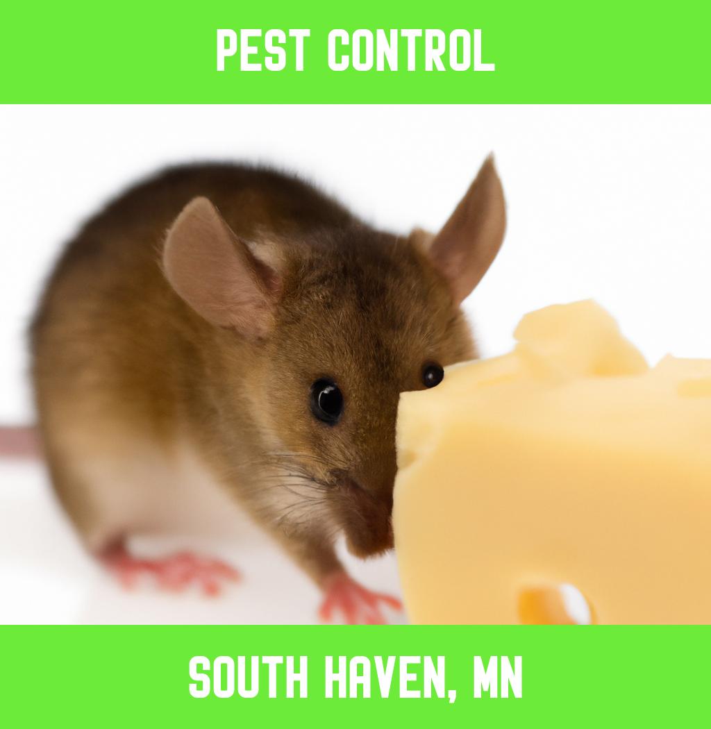 pest control in South Haven Minnesota