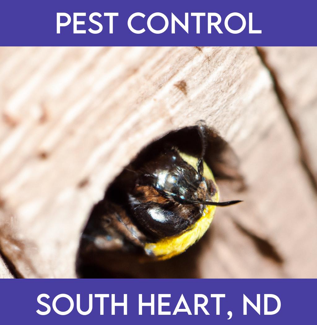 pest control in South Heart North Dakota