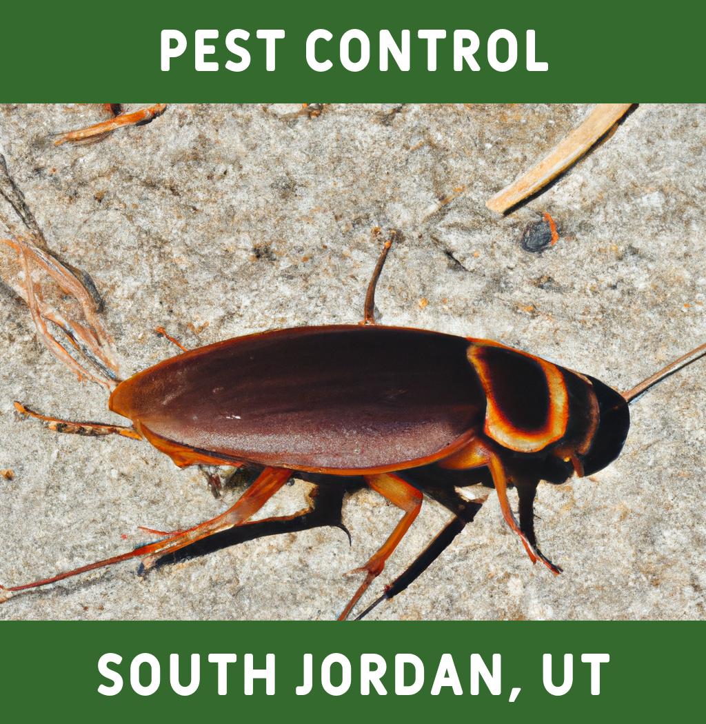 pest control in South Jordan Utah