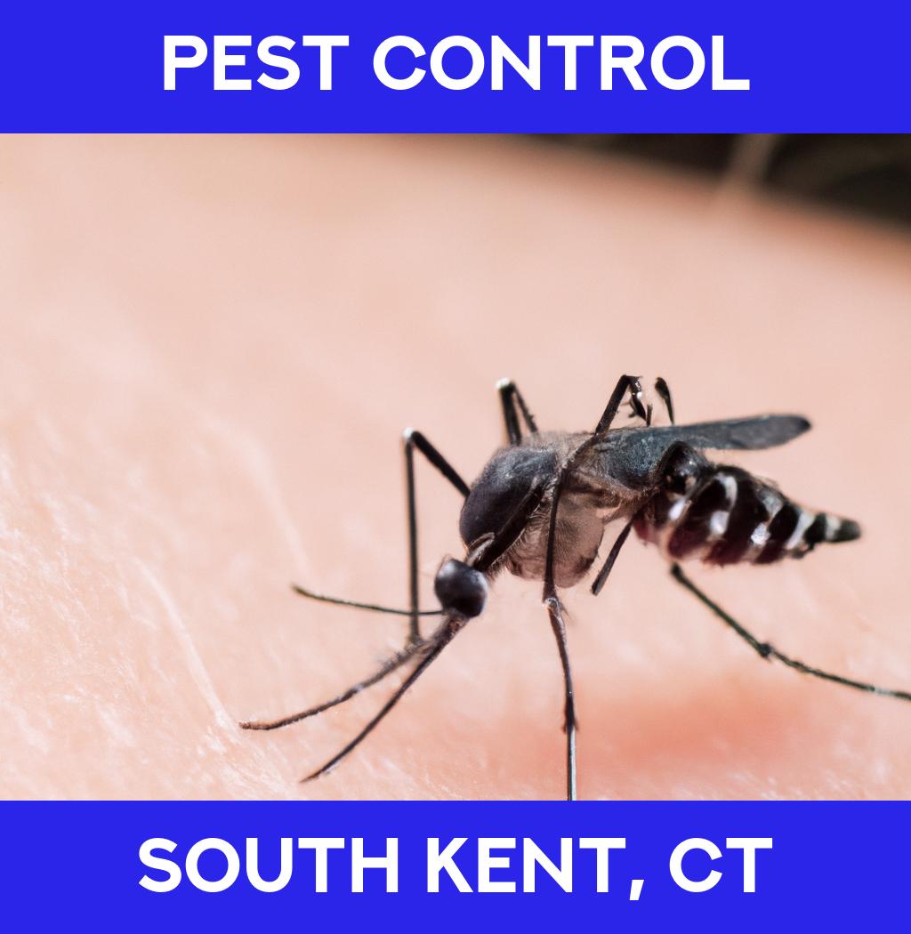 pest control in South Kent Connecticut