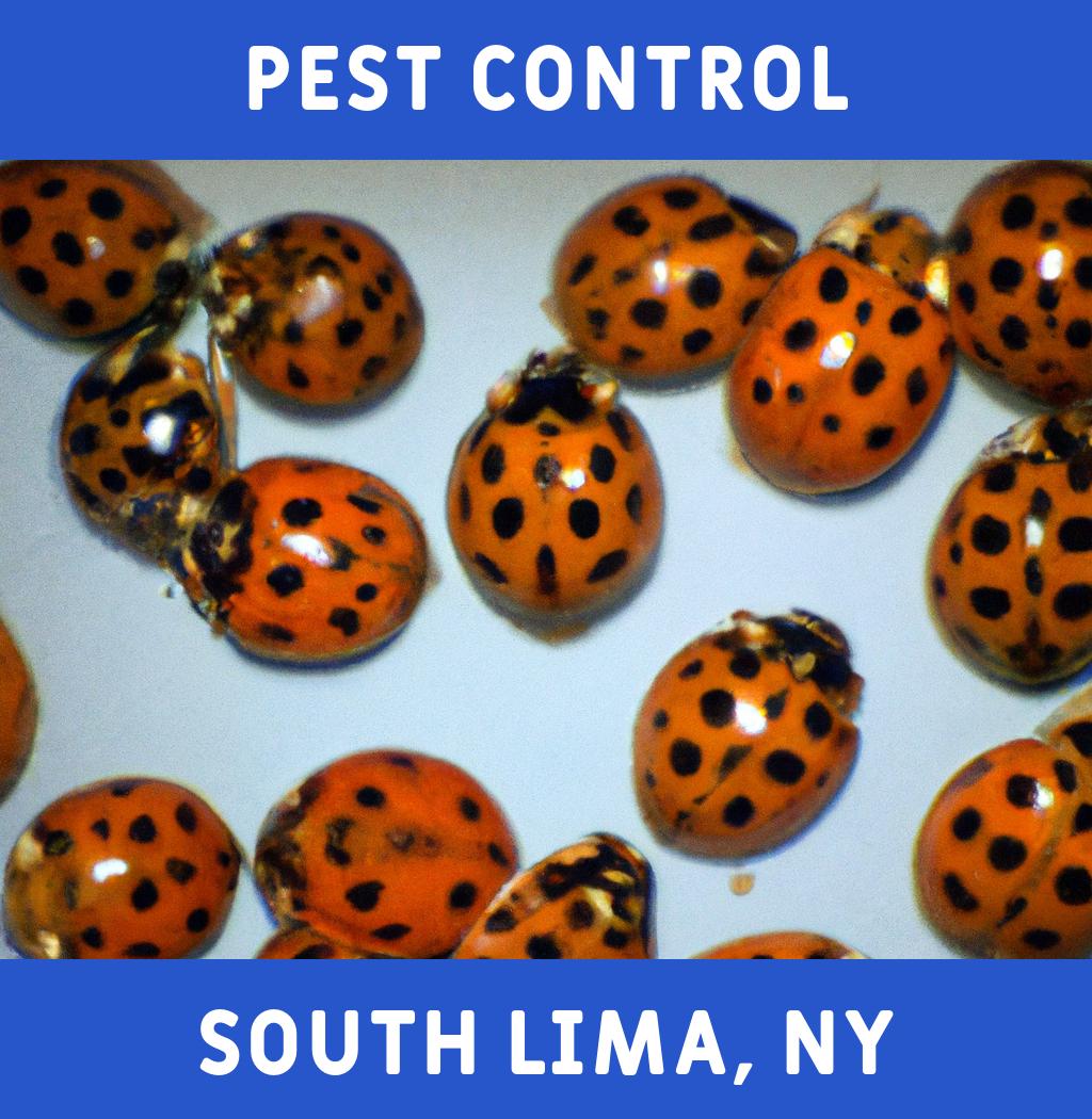 pest control in South Lima New York