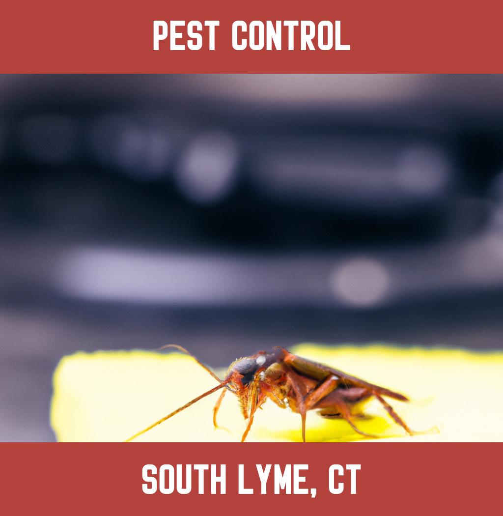 pest control in South Lyme Connecticut