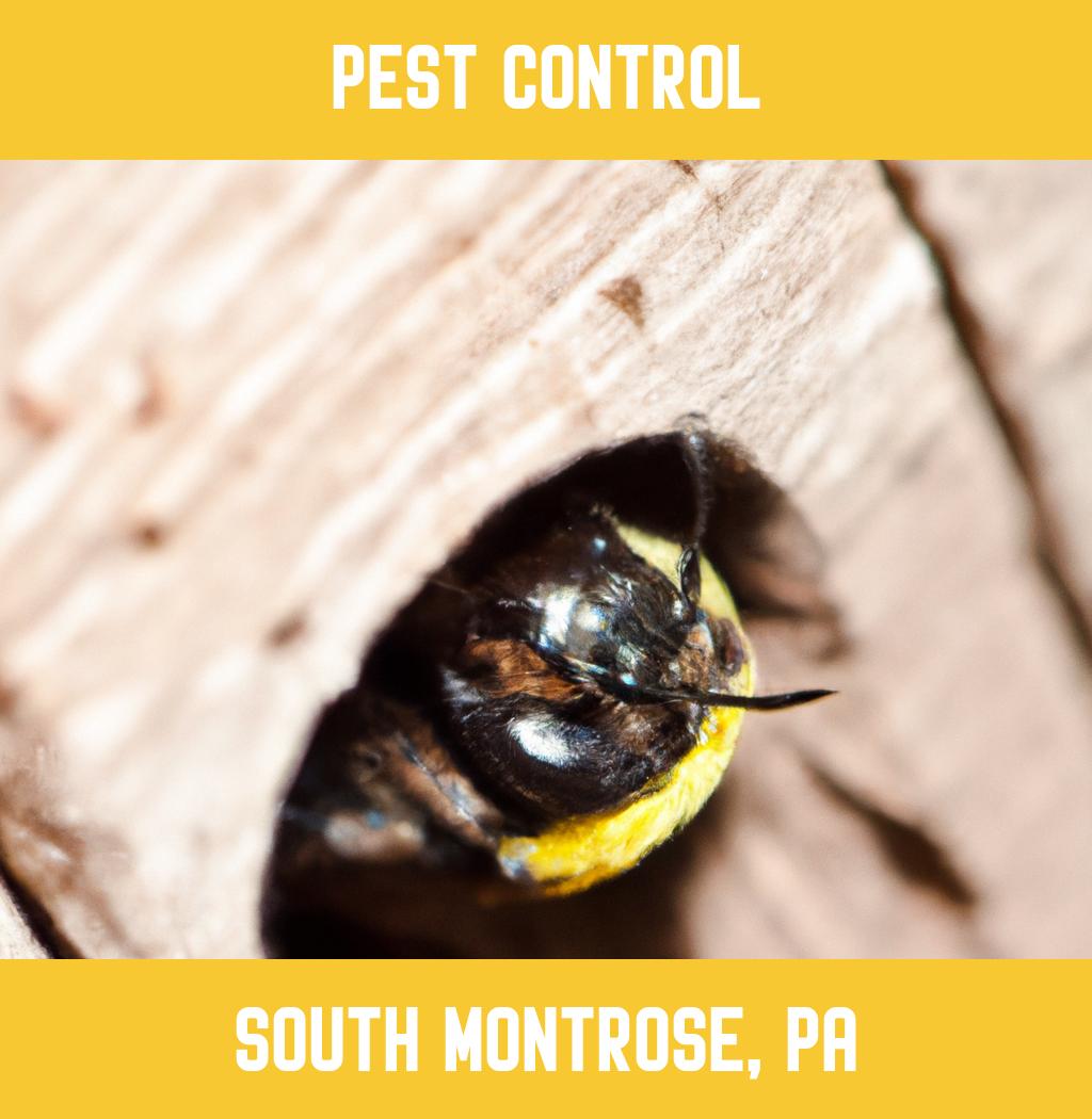 pest control in South Montrose Pennsylvania