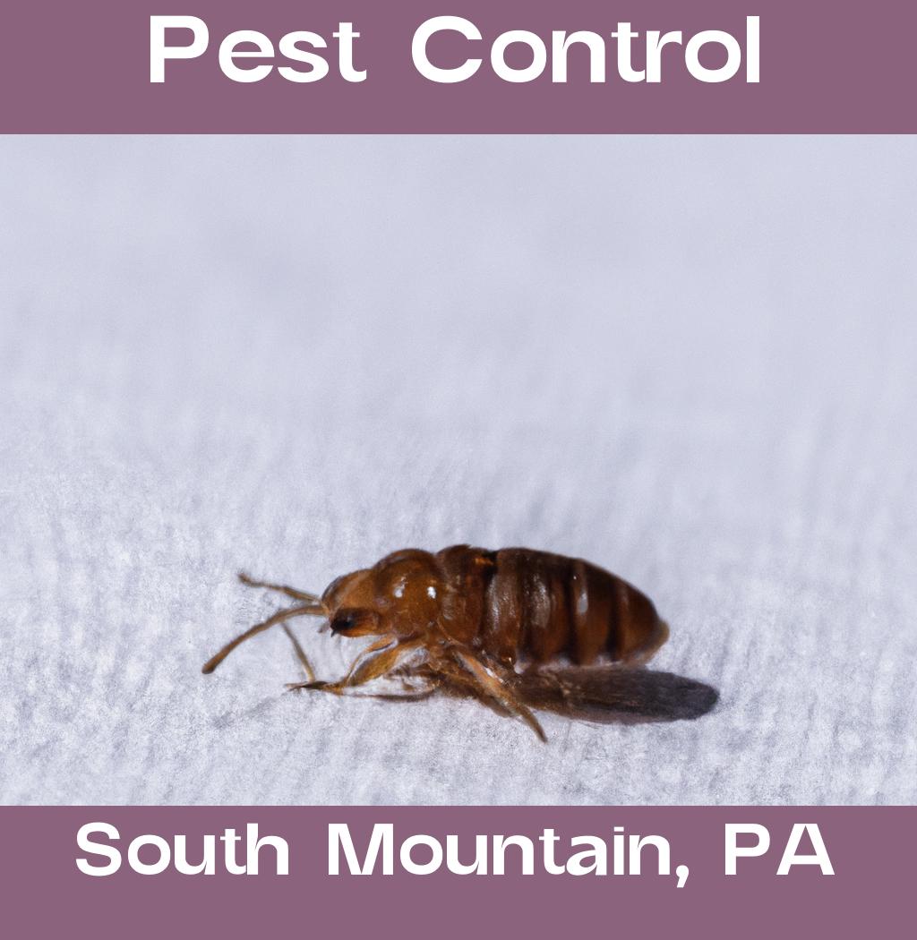 pest control in South Mountain Pennsylvania