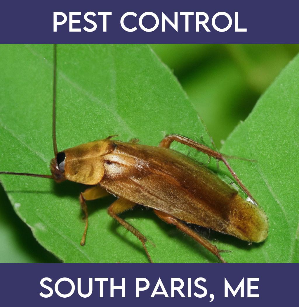 pest control in South Paris Maine