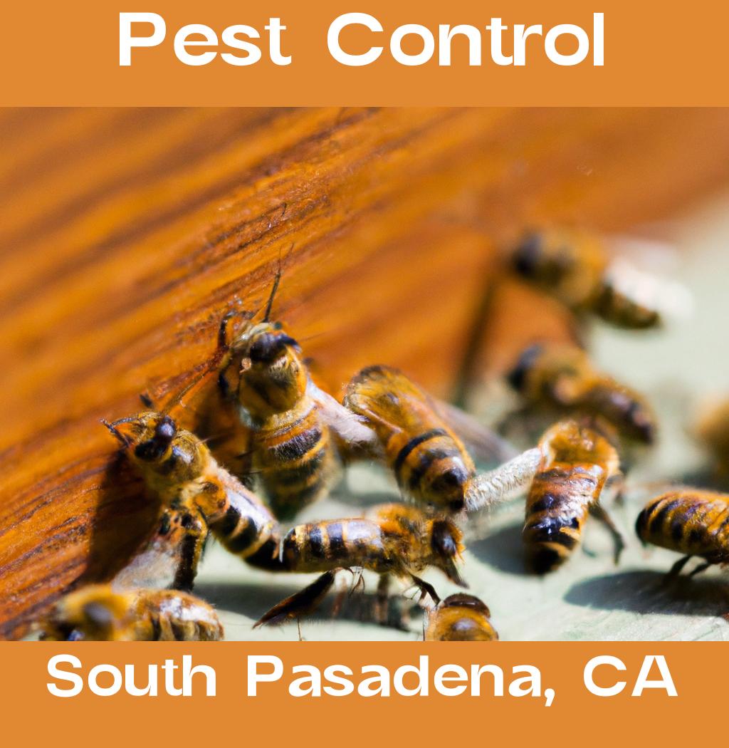 pest control in South Pasadena California