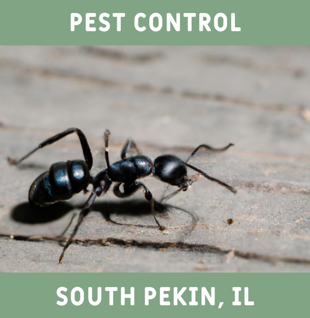 pest control in South Pekin Illinois