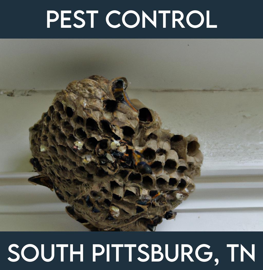 pest control in South Pittsburg Tennessee