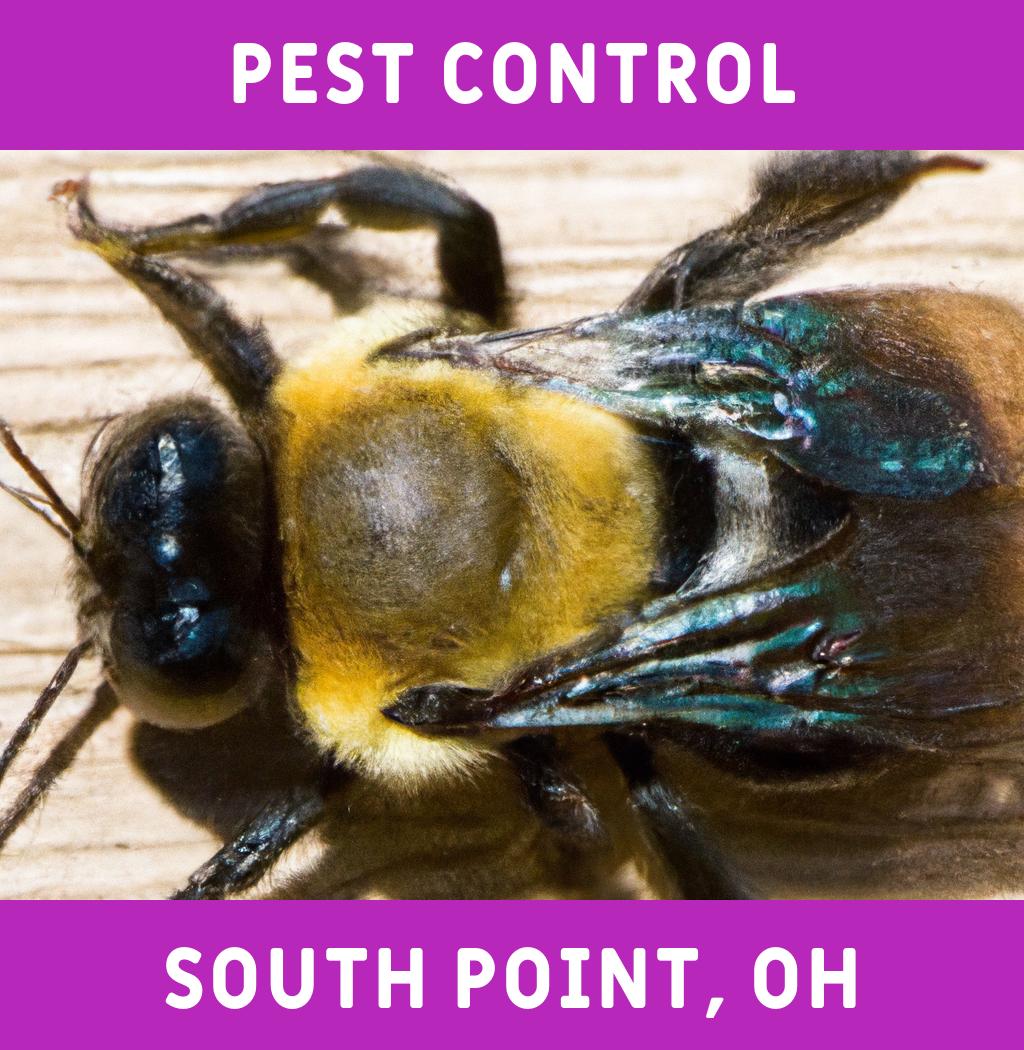 pest control in South Point Ohio