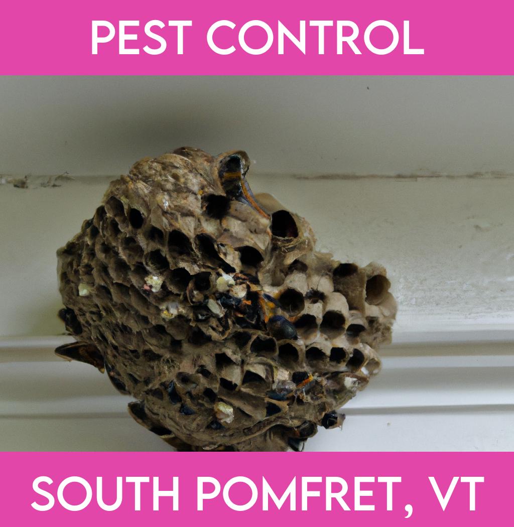 pest control in South Pomfret Vermont