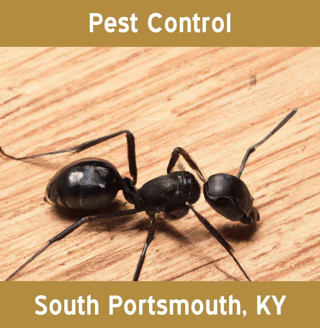 pest control in South Portsmouth Kentucky