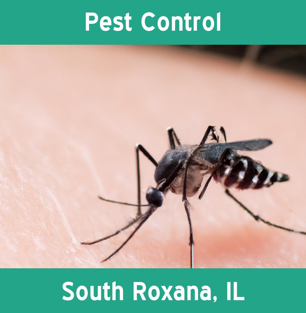 pest control in South Roxana Illinois