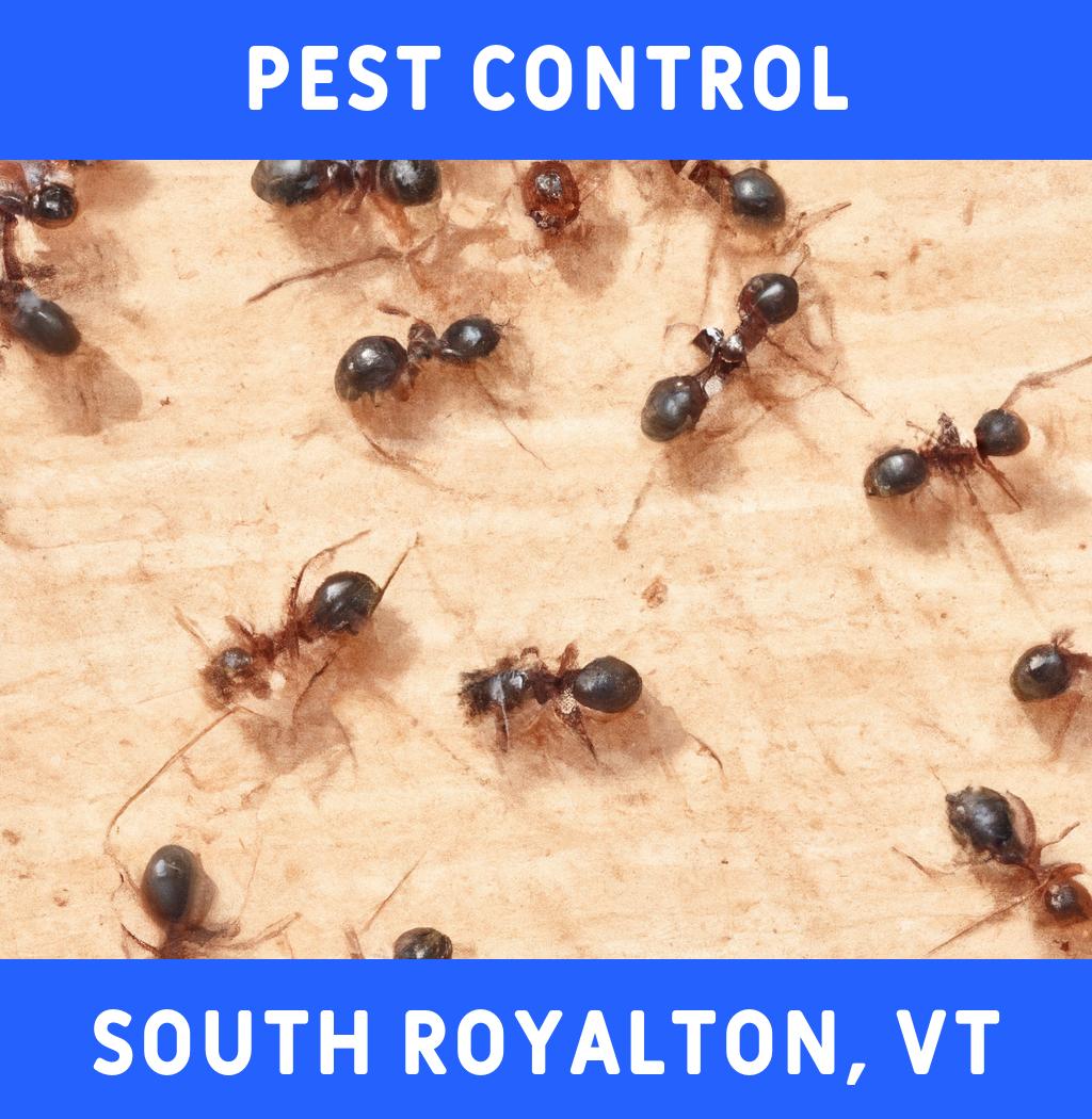 pest control in South Royalton Vermont