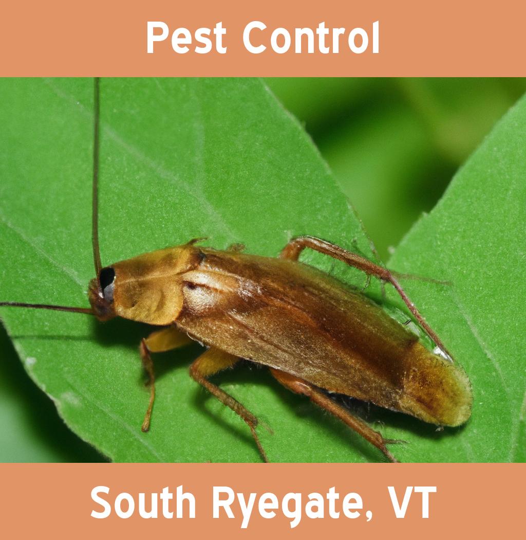 pest control in South Ryegate Vermont