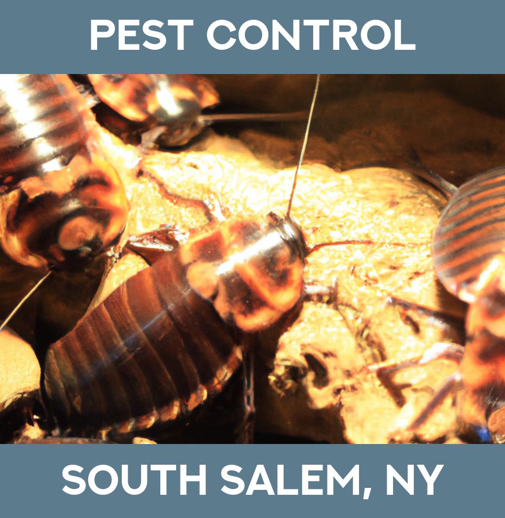 pest control in South Salem New York