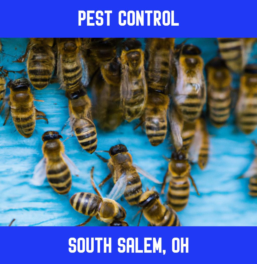 pest control in South Salem Ohio