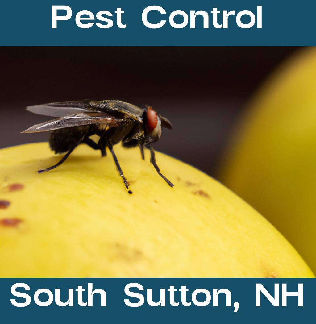 pest control in South Sutton New Hampshire