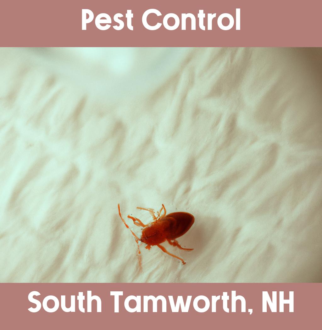 pest control in South Tamworth New Hampshire