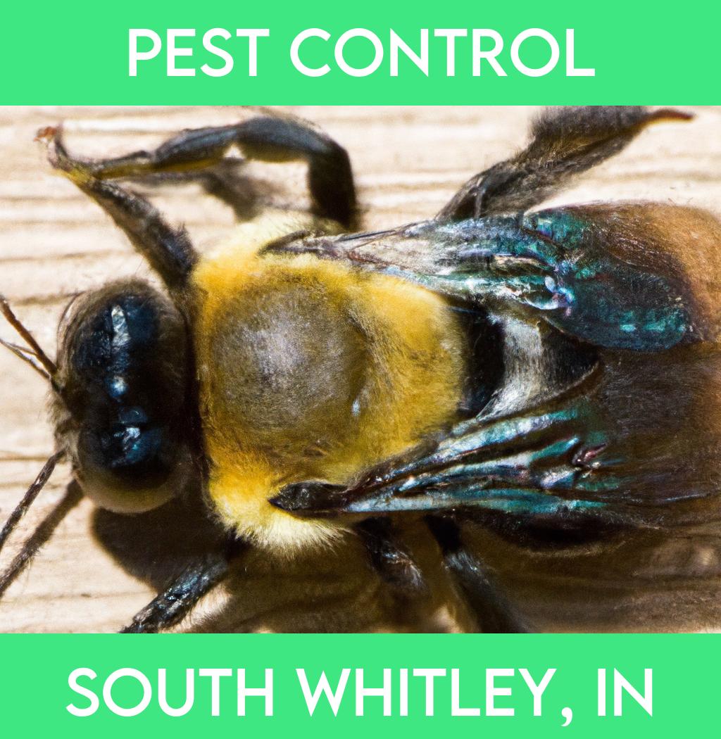pest control in South Whitley Indiana