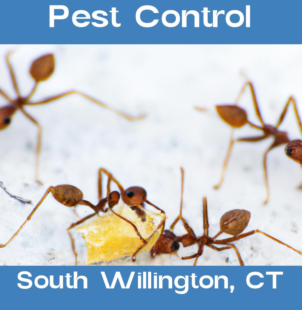 pest control in South Willington Connecticut