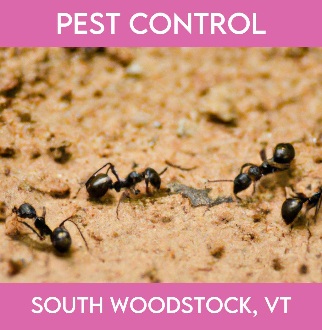 pest control in South Woodstock Vermont
