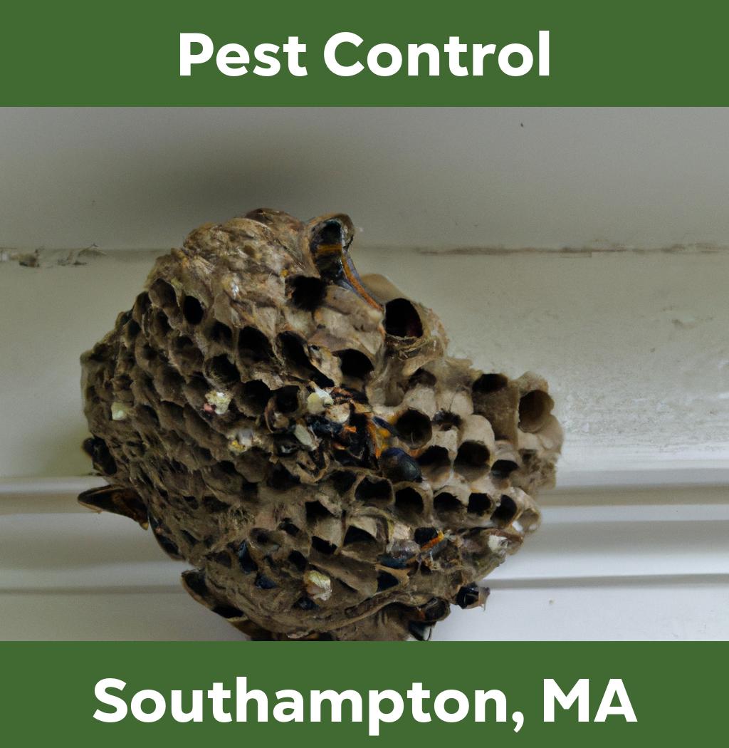 pest control in Southampton Massachusetts