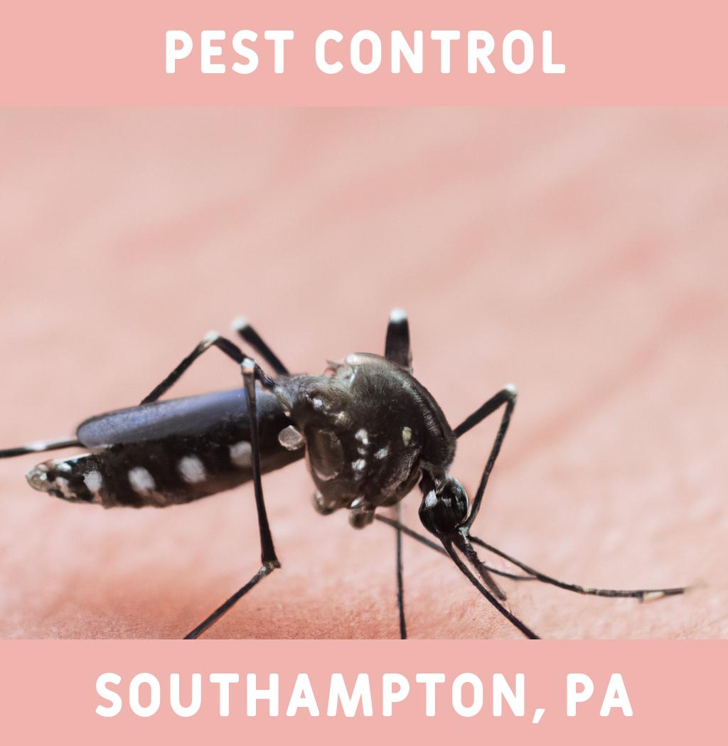 pest control in Southampton Pennsylvania
