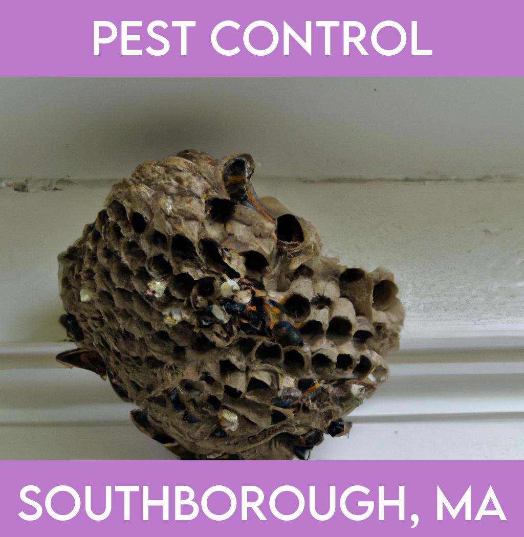 pest control in Southborough Massachusetts