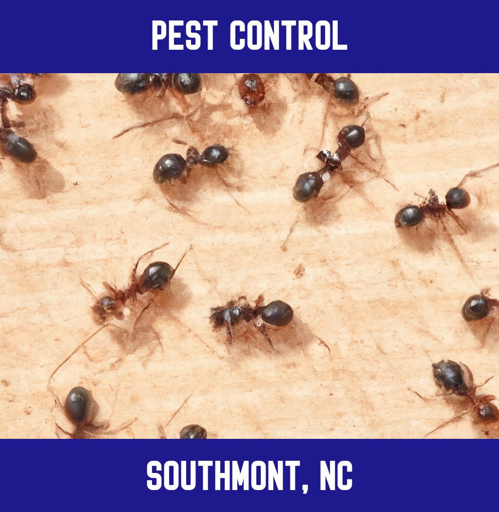 pest control in Southmont North Carolina