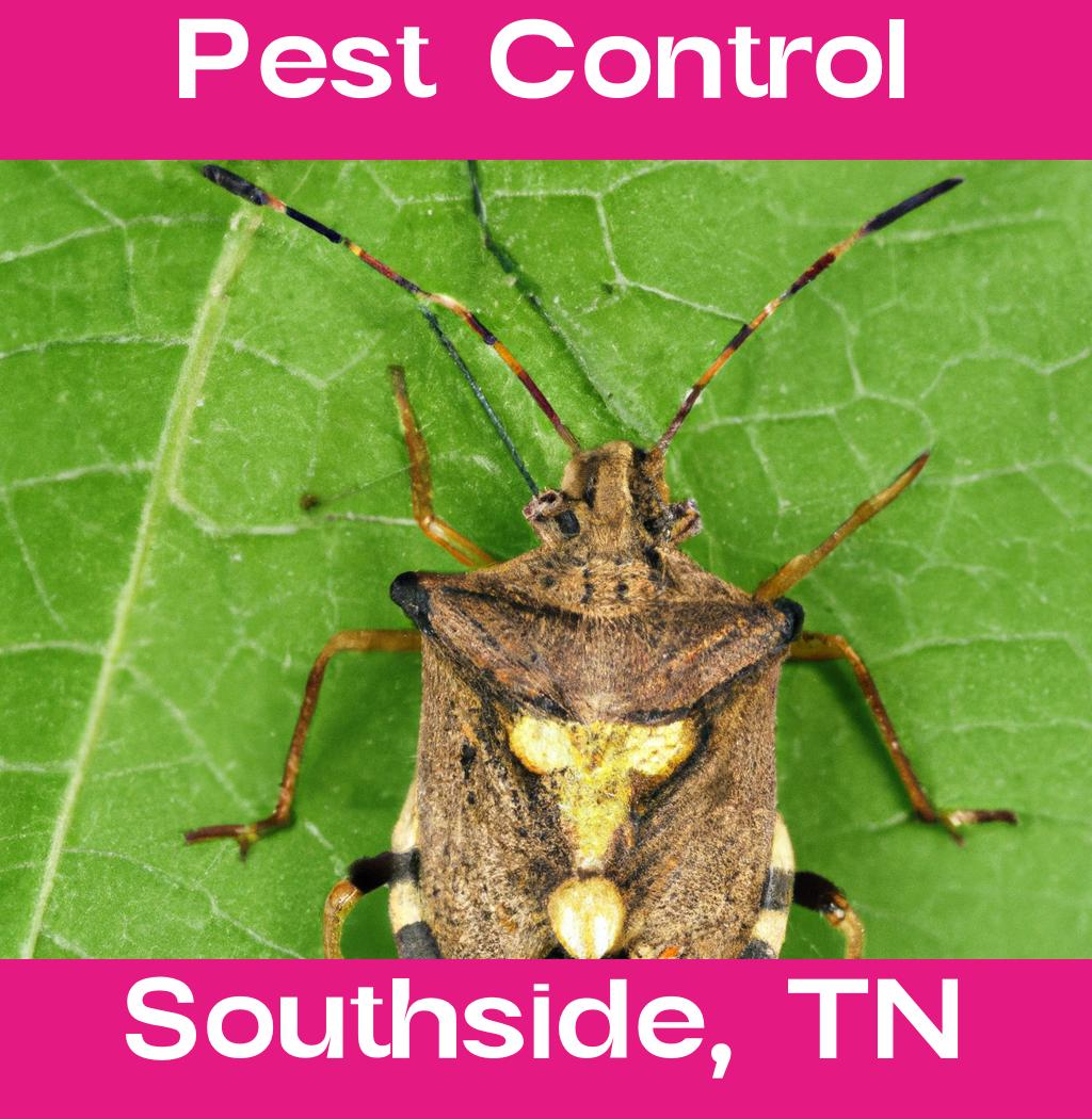 pest control in Southside Tennessee